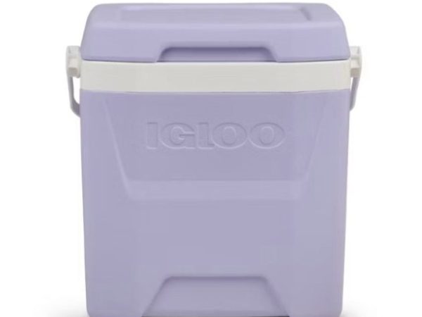 Igloo Hard Sided Cooler only $15.99, plus more!